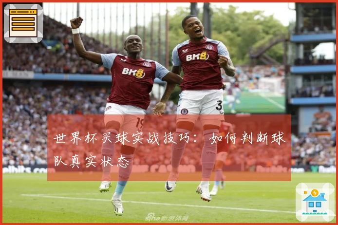 世界杯买球实战技巧：如何判断球队真实状态