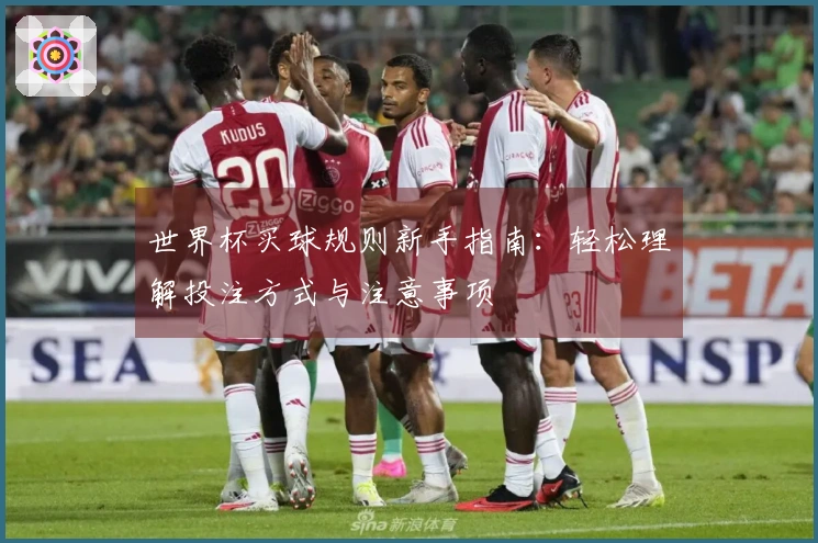 世界杯买球规则新手指南：轻松理解投注方式与注意事项