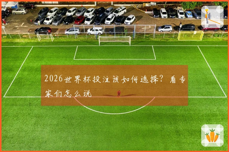 2026世界杯投注该如何选择？看专家们怎么说