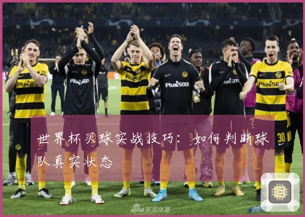 世界杯买球实战技巧：如何判断球队真实状态